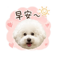 Yuumi 6