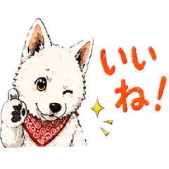 satopoyo_20260505193408