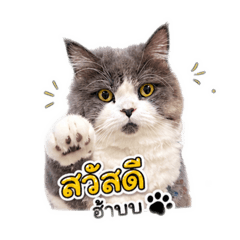 Sho-yu_20260428145801
