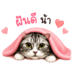 LOR LIING_20260428145814