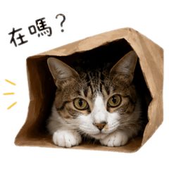 咪咪勒咪咪