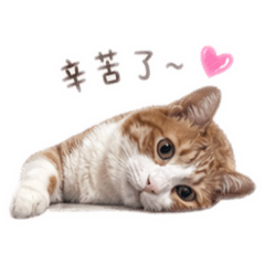 我叫妹妹2～
