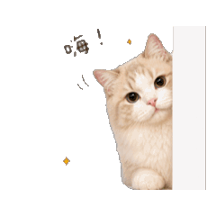 星與里歐4