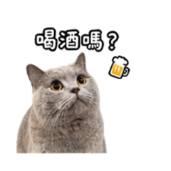 妹妹 の 日常