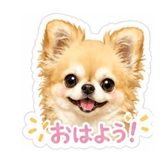 haru_20260505200151