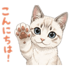 Kancha stickers