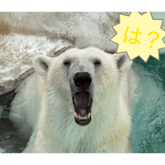 Tatsu_20260429200248
