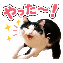 Shinobu_20260505210036