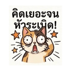 Hongthong_20260429000235