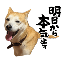 one_20260505210601
