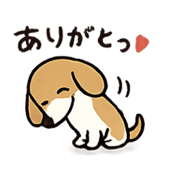 kurumin_20260505210311