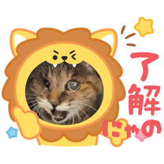 Sakimamanotamenosutanpu