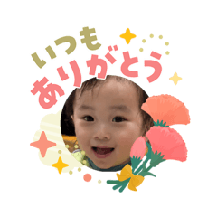 shibata_20260505211005