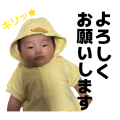 mi_san_20260505210744