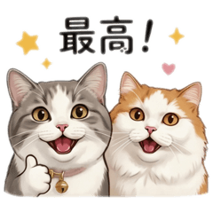 mumupm_20260505211141