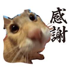 Itsuki_20260505210932