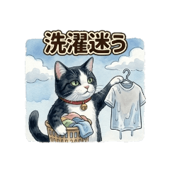 pubeley_20260505195705