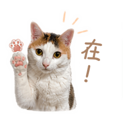 可愛奶泡泡