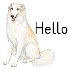 The Bossy Daily Life of a Borzoi