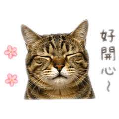 波波好用的貼圖