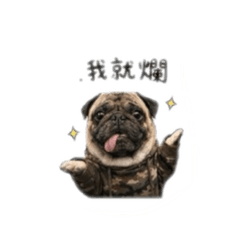 巴戈日常貼圖