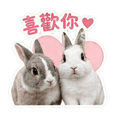 賣萌小兔子焦糖雪球