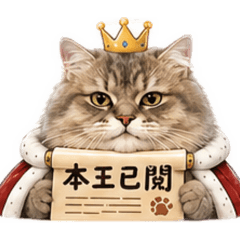 可愛的的碰氣：Leo