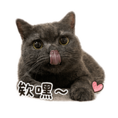 莫納納