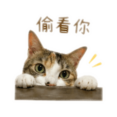 可樂日常貼圖