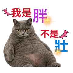 黑帝の平日生活