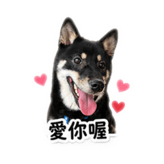 小麻吉ㄉ日常