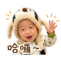 小恐龍日常專屬
