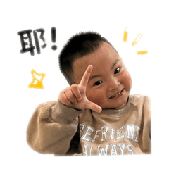 雙胞胎Q圖