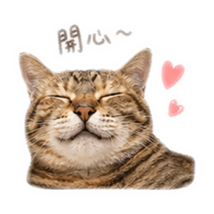 肚仔焦糖日常用語2