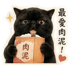 有一隻小皮3