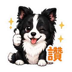 邊境牧羊犬揪伊的問候 Part 1