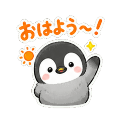 Penguin - Daily Chat Stickers!