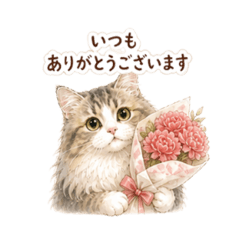 My Cat [Gratitude Edition]
