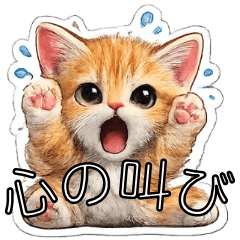 Weird & Wild Kitty Stickers!