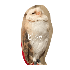 rr_20260505212324