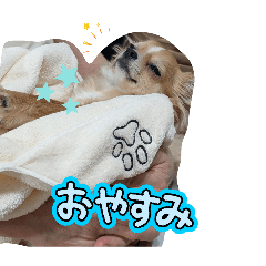 natsuna_20260505211940
