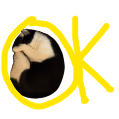 KuhtheCat_20260505212333