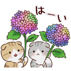 Umoreneko Purunya Hydrangea Mix