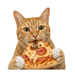 Orange Cat-Foodie Cat