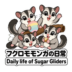 可愛小飛鼠：日文＆葡萄牙文
