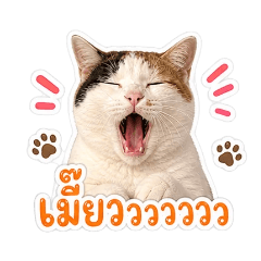 Tri-Phet Toasap
