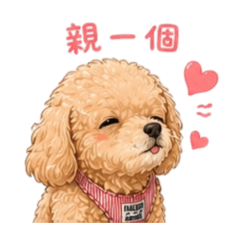 永遠的小寶妹