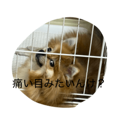 ryo18ryo18_20260429203030