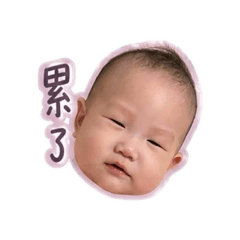 小酪梨的厭世日常