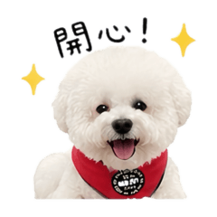 我家KiKi最可愛❤️
